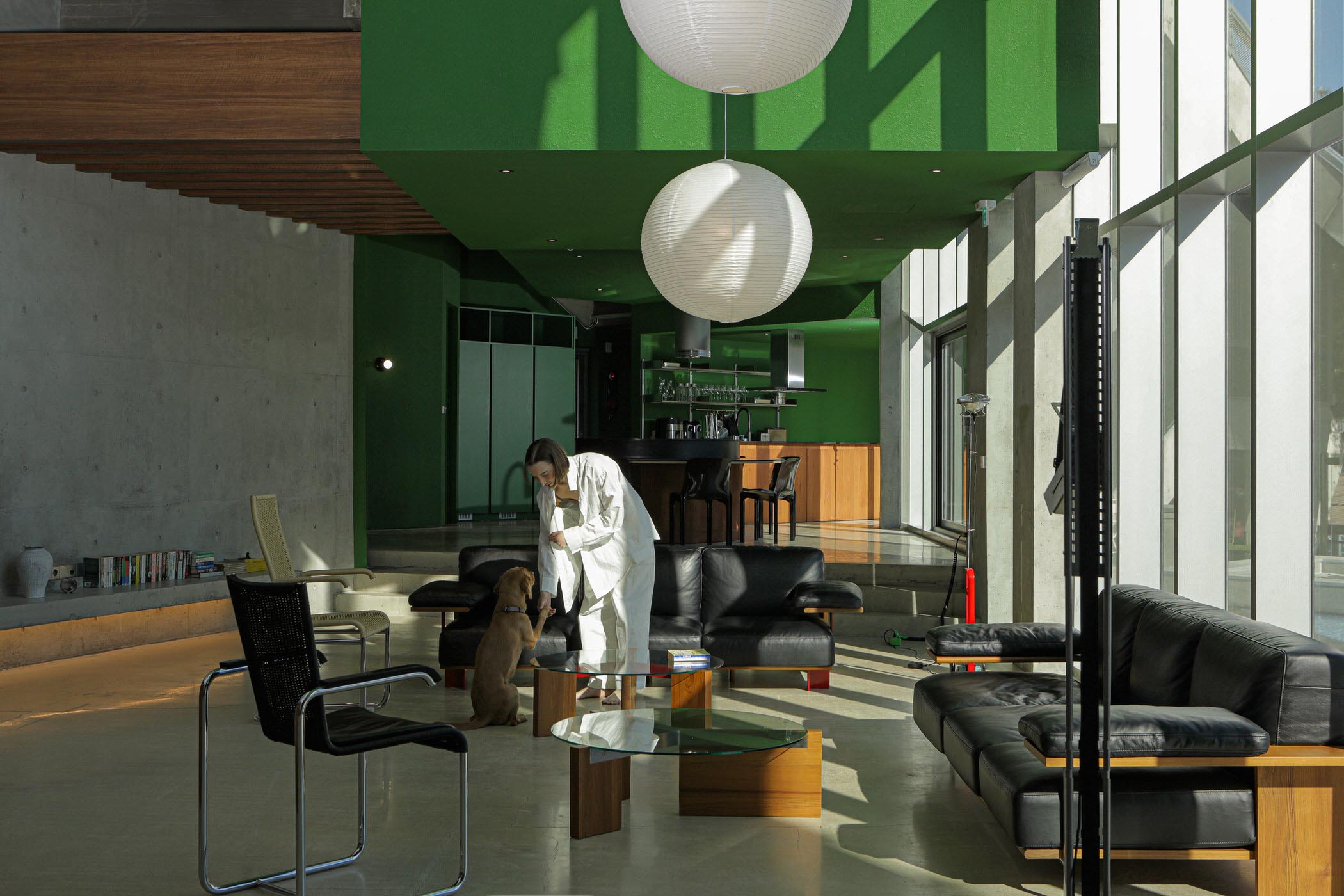 JOONGHO CHOI STUDIO,别墅设计案例,别墅设计方案,韩国,河景别墅,绿色,清水混凝土