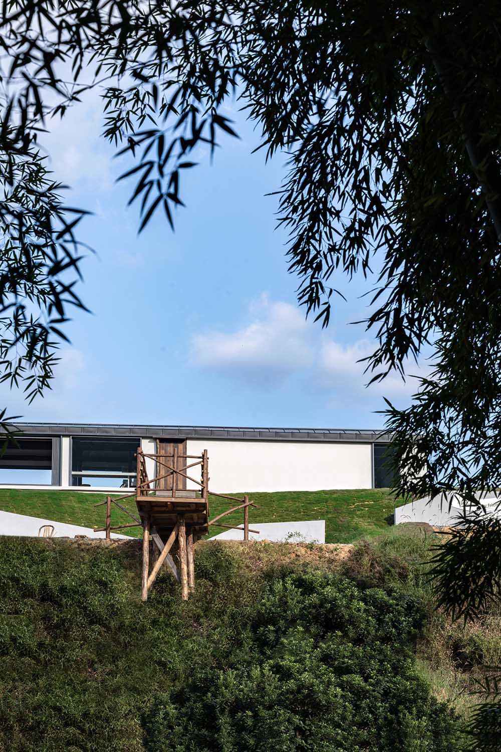 茶室设计,茶室改造,茶室设计案例,茶室设计方案,咖啡店设计,建筑改造,浙江余姚,四明山麓的杉野茶咖,杨楠,平介设计