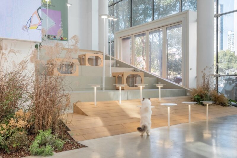 空间站建筑师事务所 | 上海sorry dog咖啡空间设计