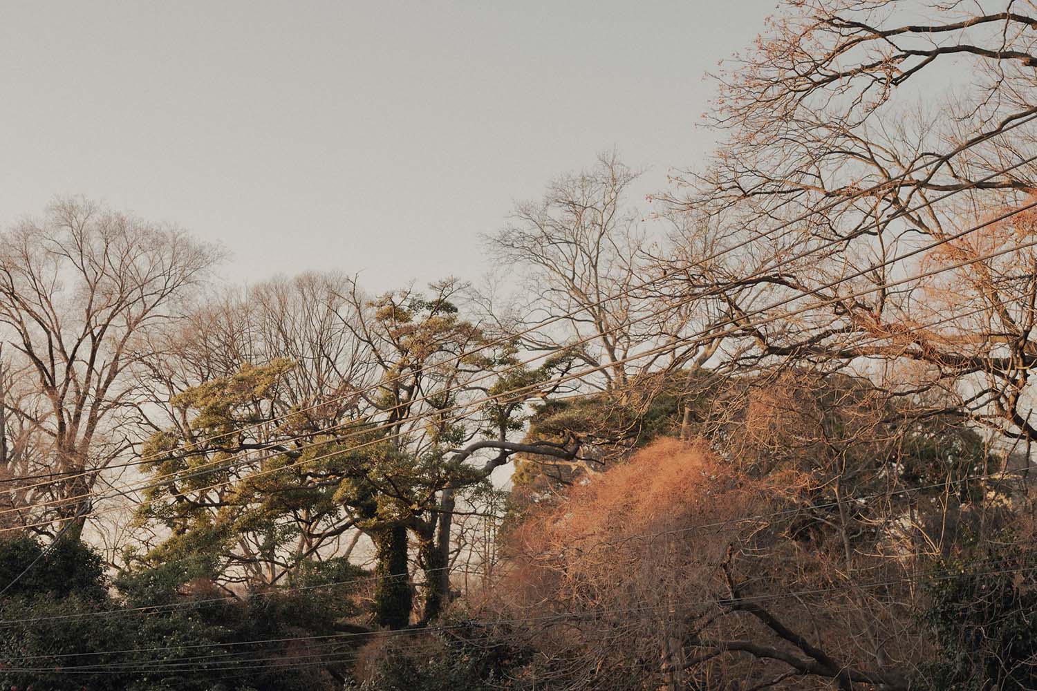 Kenta Hirayama Architect & Associates,住宅设计,公寓设计案例,公寓设计方案,公寓改造,小户型设计,极简主义,极简风格,日本,东京
