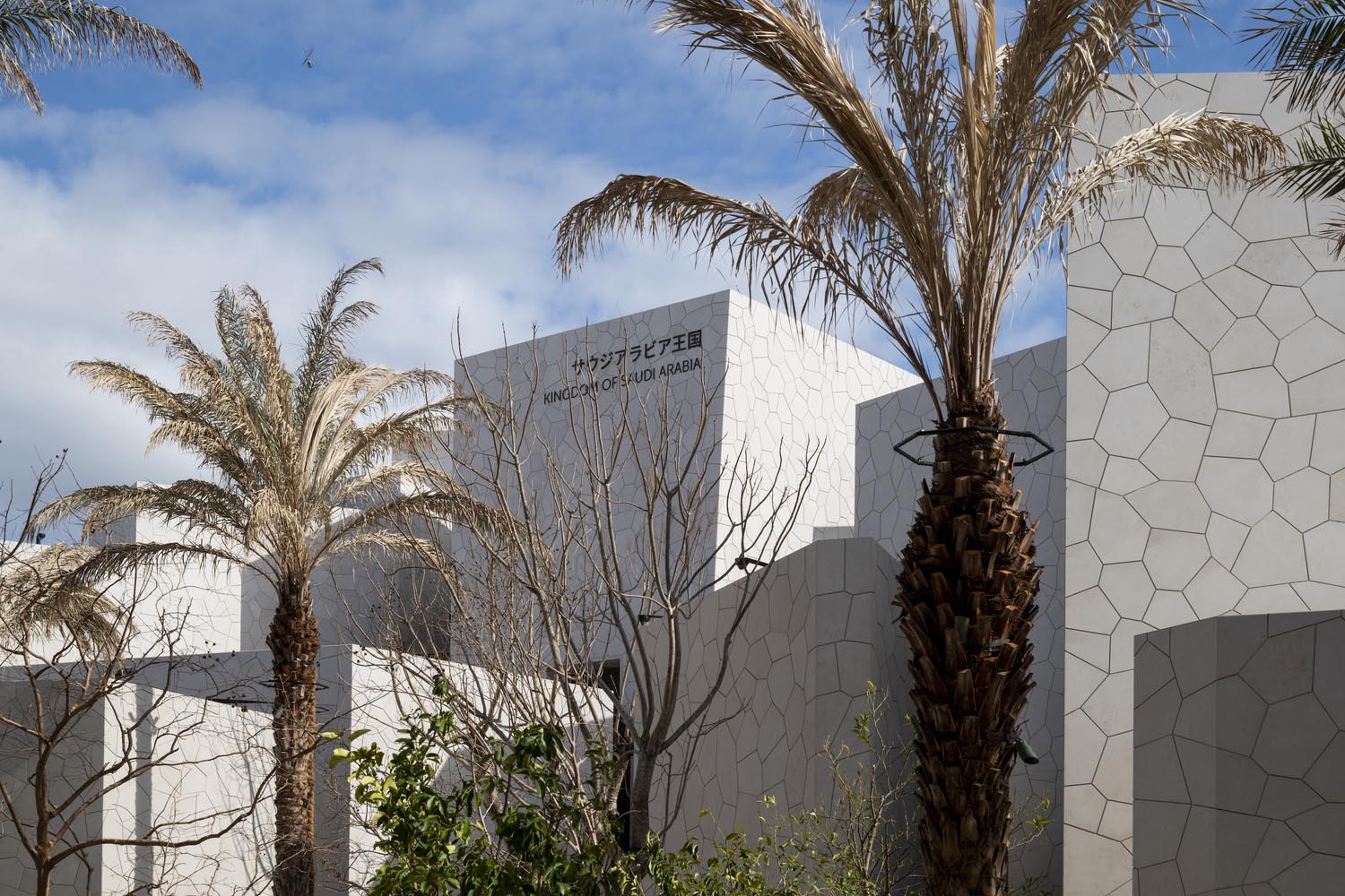 Foster + Partners,展览馆设计案例,展览馆设计方案,展馆设计,日本,大阪世博会,大阪世博会沙特阿拉伯馆