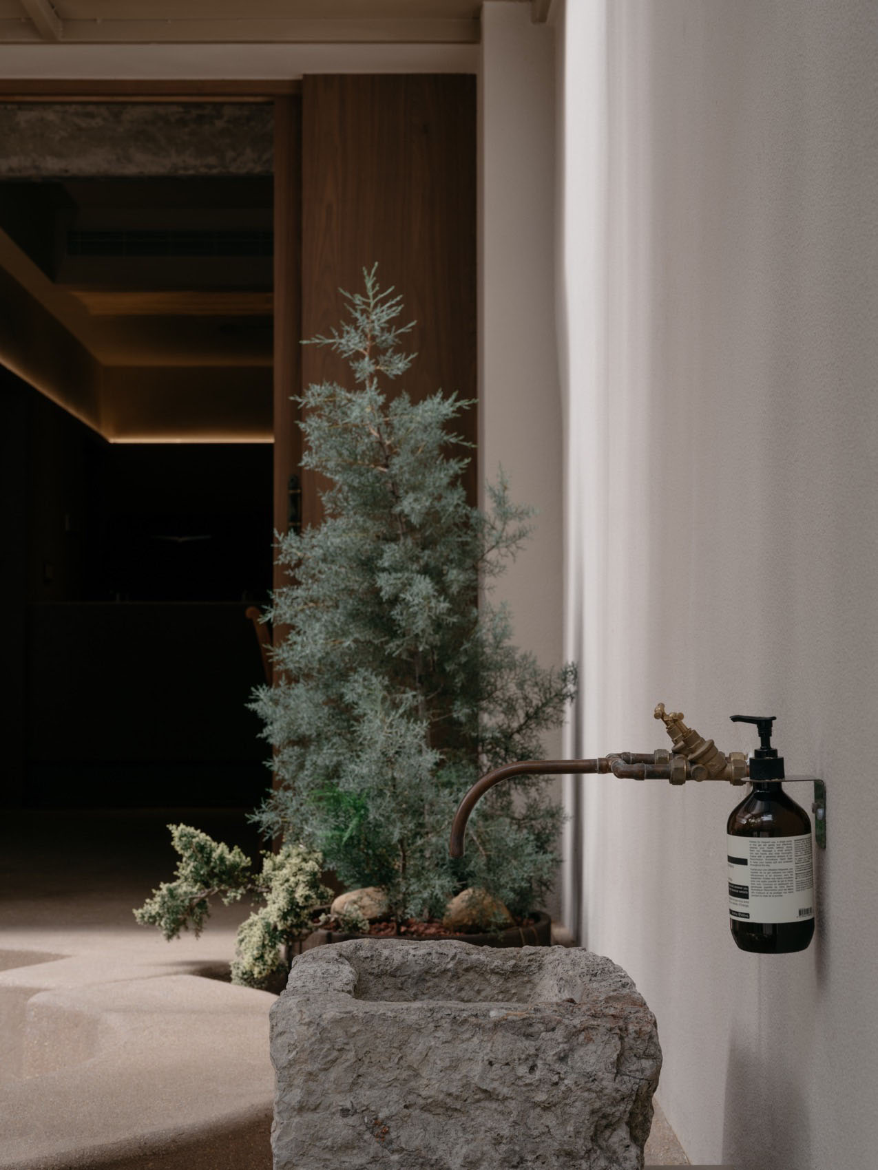 森系咖啡店设计,咖啡店设计方案,小咖啡店设计,咖啡店设计案例,开放式咖啡店,杭州Unwind咖啡,杭州,山地土壤空间设计