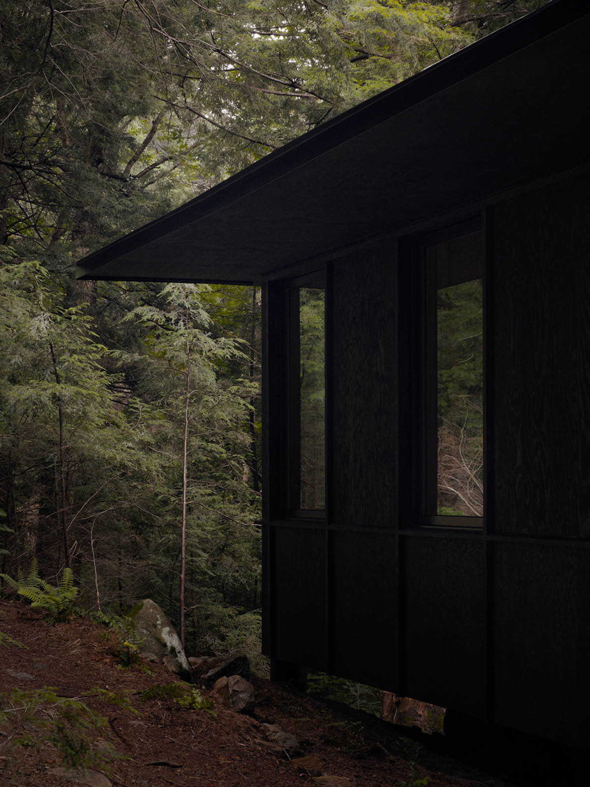 别墅设计,别墅设计案例,别墅设计方案,Anya Moryoussef Architect,山景别墅,原木色,加拿大,极简主义