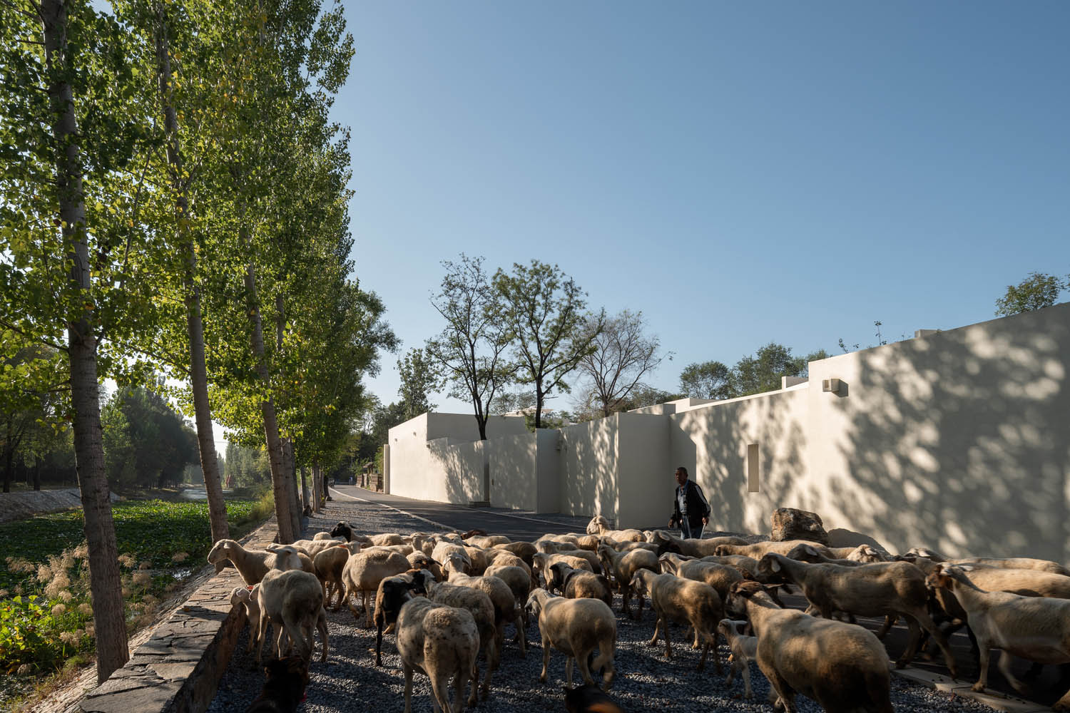 民宿设计,度假酒店设计,民宿设计案例,民宿设计方案,度假民宿,十域建筑,河北,邢台和隐度假酒店,和隐度假酒店
