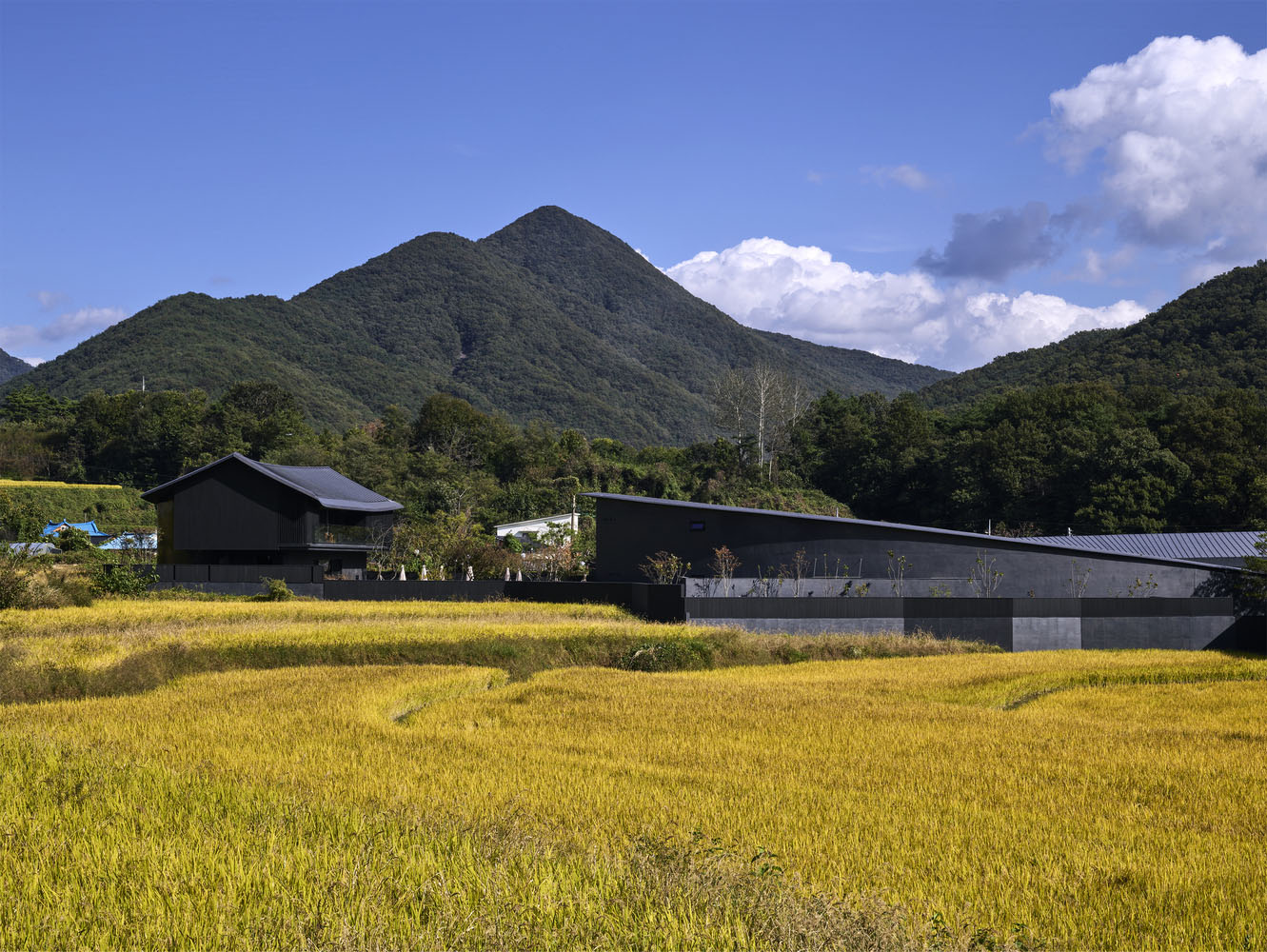 Itm Yooehwa Architects,酒店设计,韩国,民宿设计案例,民宿设计方案,度假酒店,画廊设计,咖啡厅设计