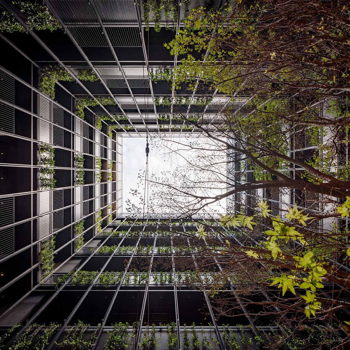 迢音·电报酒店,酒店设计,如恩设计研究室,酒店设计案例,酒店设计方案,度假酒店,格鲁吉亚,第比利斯,郭锡恩,胡如珊,Neri&Hu Design and Research Office,Neri&Hu