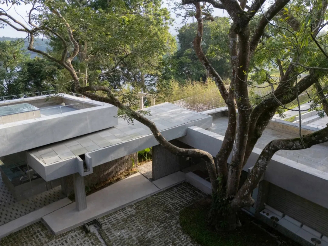 合造社建筑设计事务所,公园配套建筑设计,午倦宫,惠州,公园建筑设计,乡村河畔驿站,多功能空间,公共空间设计