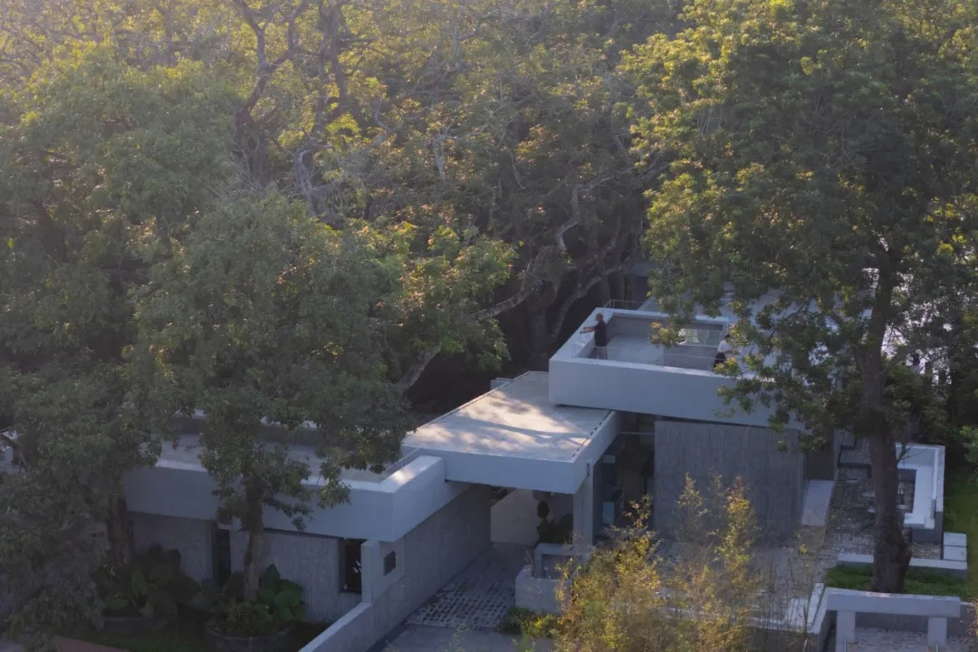 合造社建筑设计事务所,公园配套建筑设计,午倦宫,惠州,公园建筑设计,乡村河畔驿站,多功能空间,公共空间设计