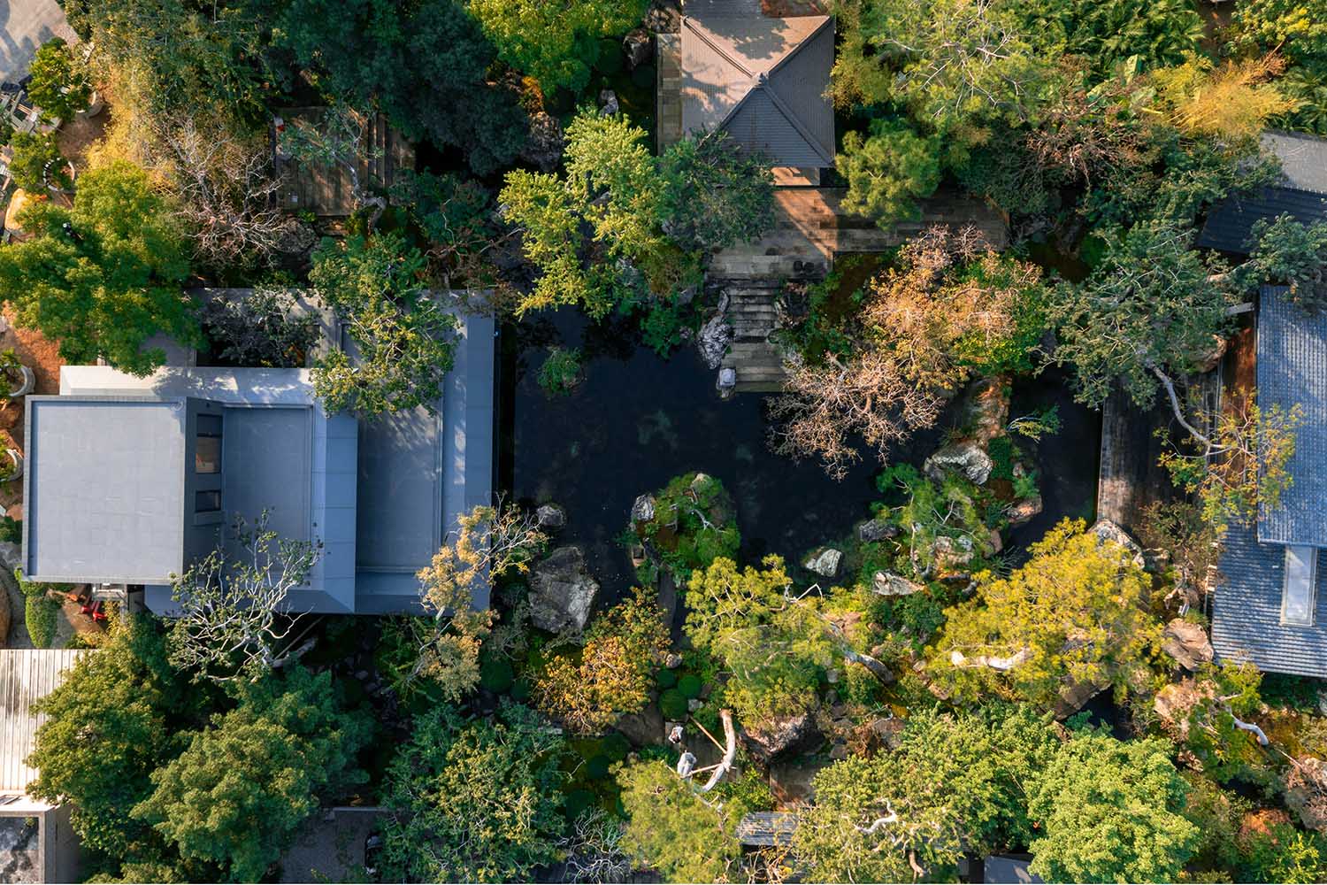 景观庭院设计,景观设计,植物景观销售基地,植物景观庭院设计,花园庭院设计,老建筑改造,佛山宋屿庭园,佛山,陆启水建筑师事务所