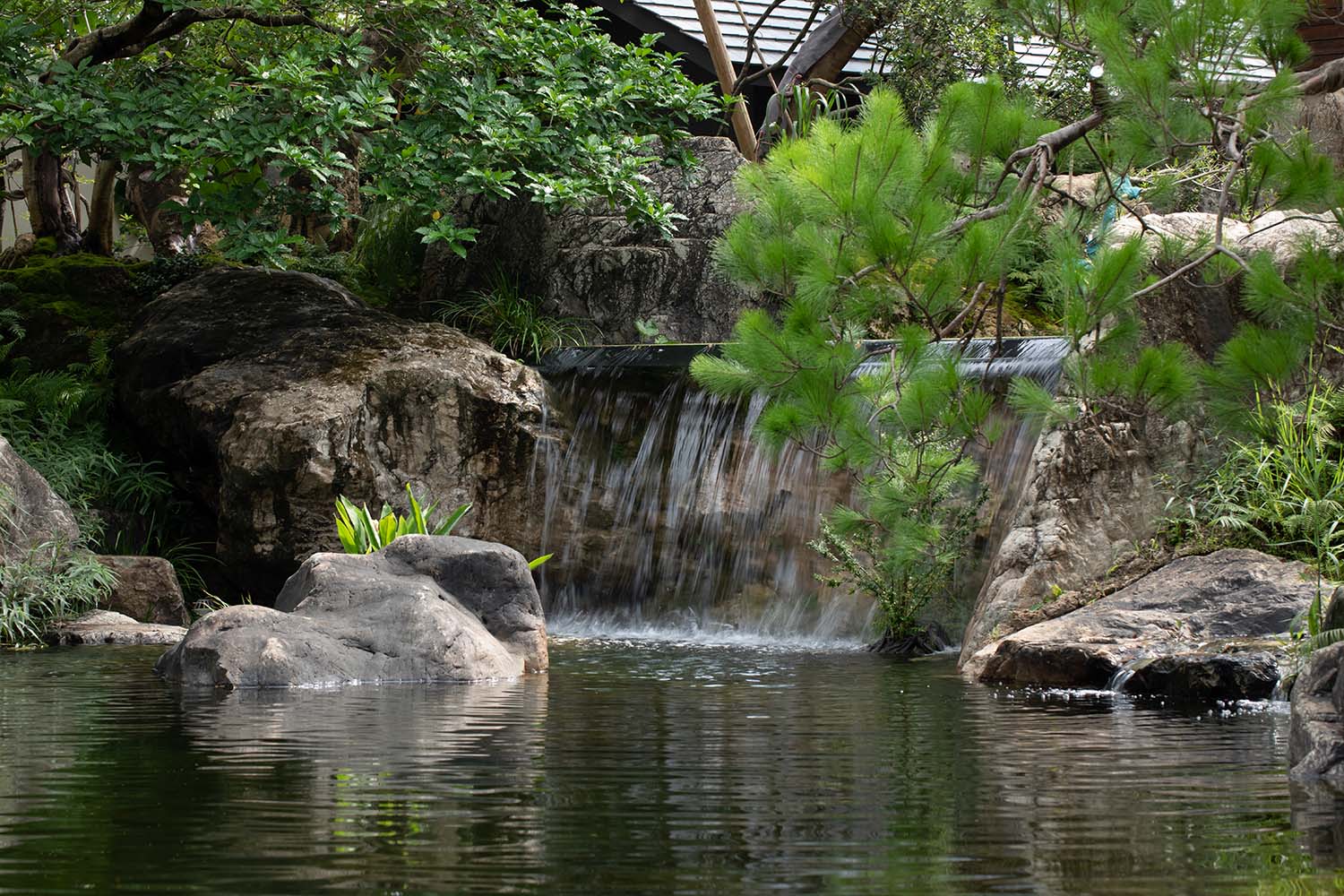 景观庭院设计,景观设计,植物景观销售基地,植物景观庭院设计,花园庭院设计,老建筑改造,佛山宋屿庭园,佛山,陆启水建筑师事务所