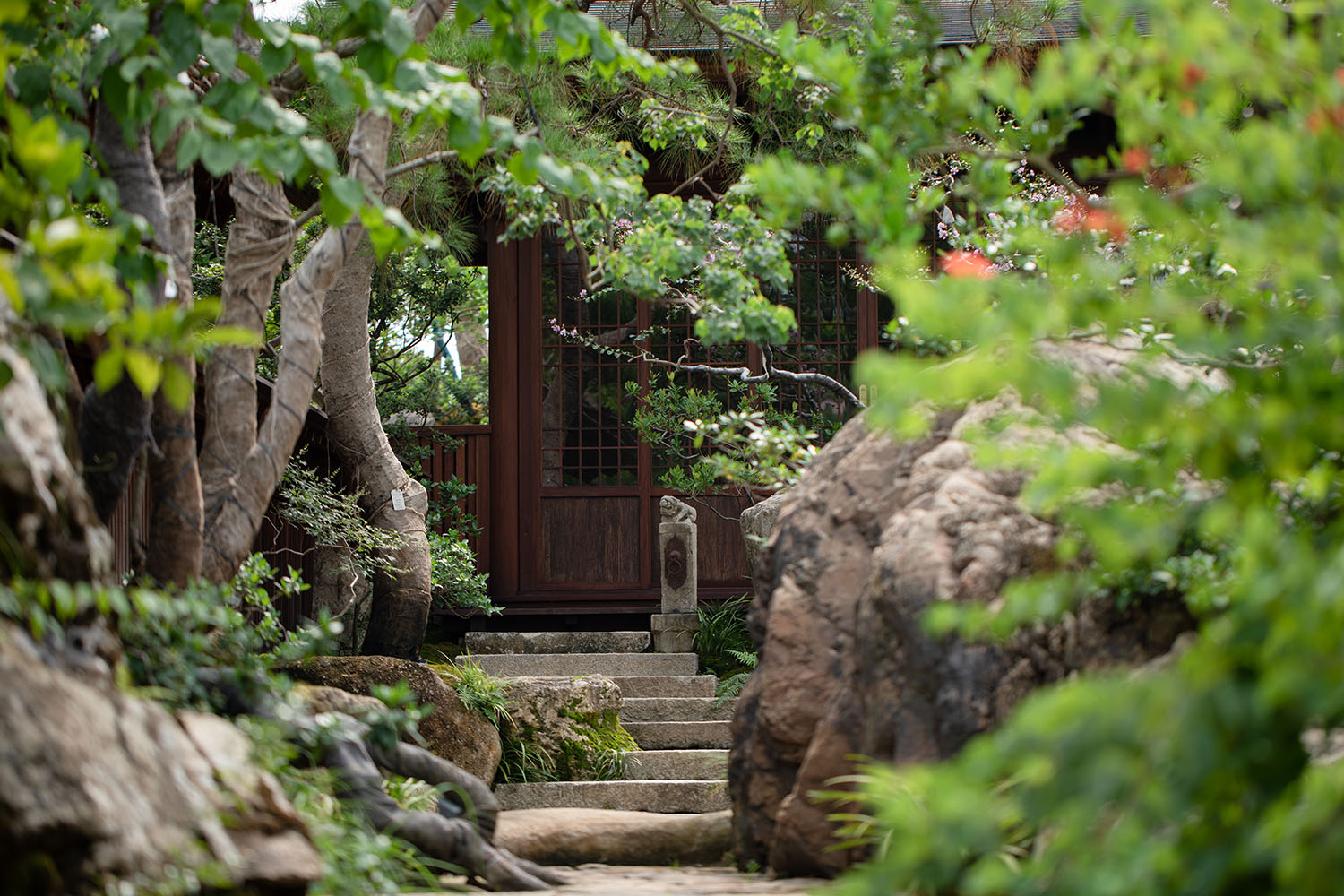 景观庭院设计,景观设计,植物景观销售基地,植物景观庭院设计,花园庭院设计,老建筑改造,佛山宋屿庭园,佛山,陆启水建筑师事务所