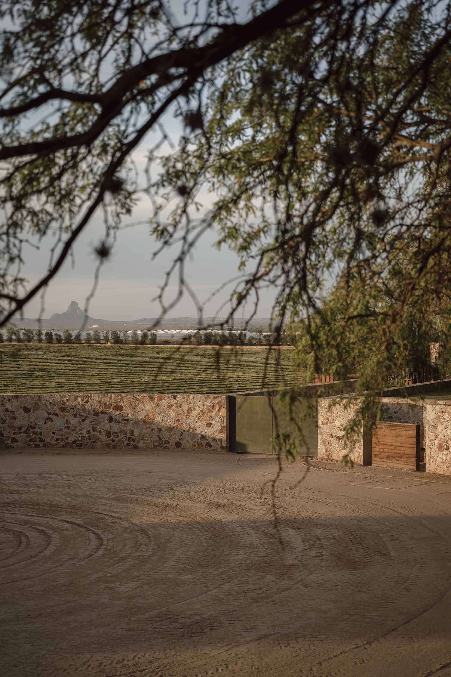 Cosmos,马场设计,墨西哥,马术训练场设计案例,极简主义,极简风格