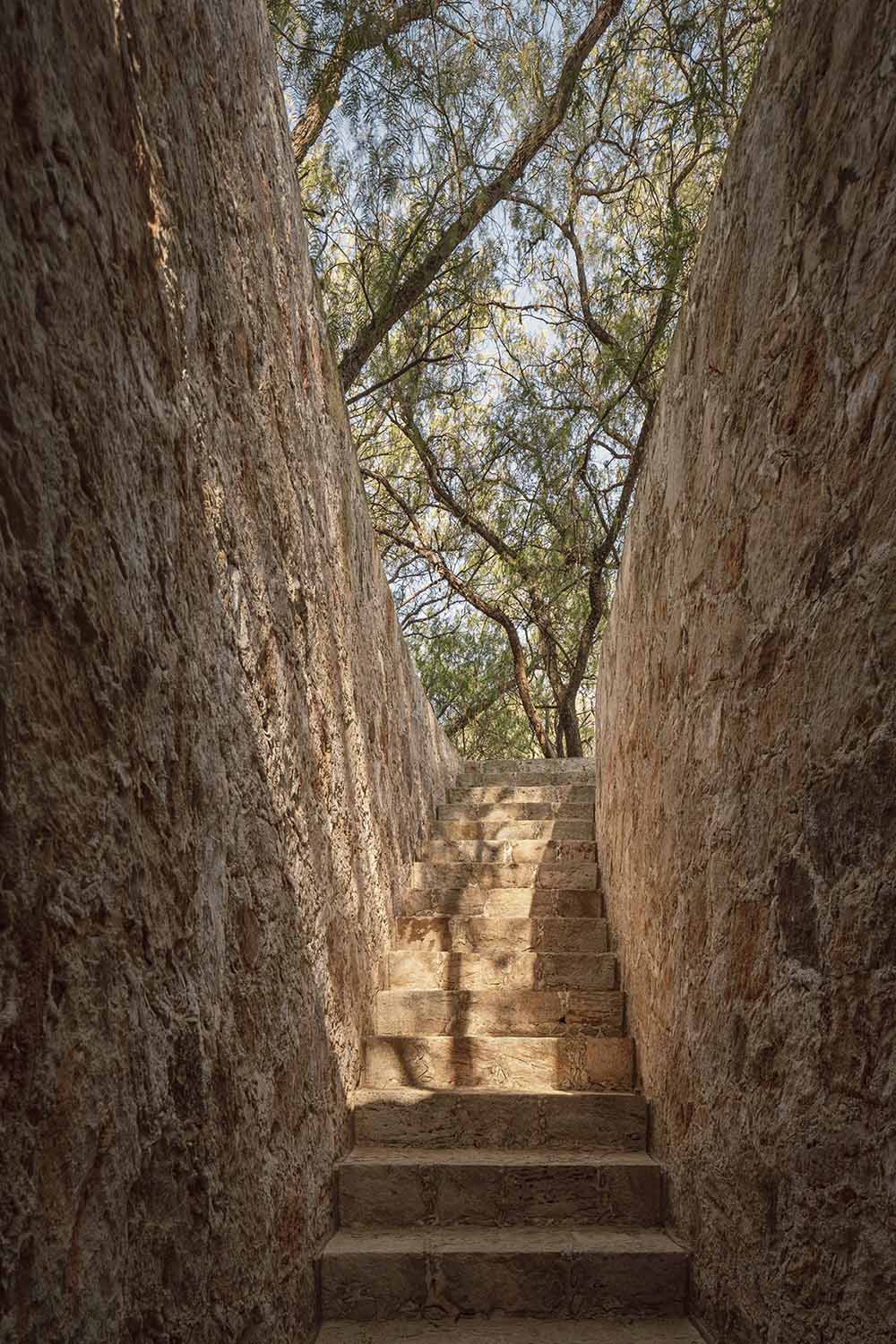 Cosmos,马场设计,墨西哥,马术训练场设计案例,极简主义,极简风格