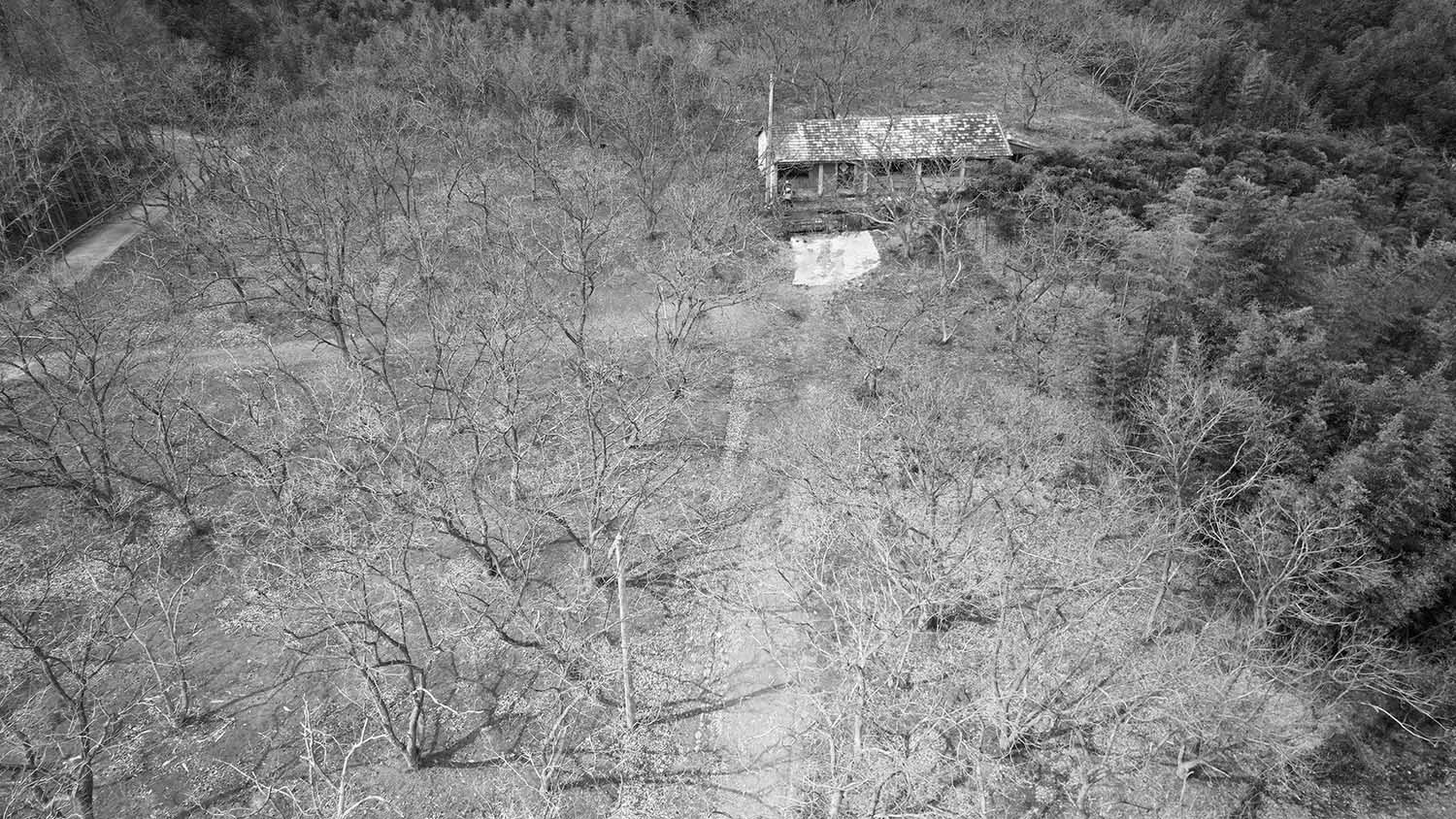 建筑改造,度假区茶室设计,户外茶室设计,景点茶室设计,茶室设计案例,茶室设计方案,湖州莫干山高峰禅寺下的栗林小院—激发乡村闲置资源新活力,湖州莫干山,平介设计,杨楠