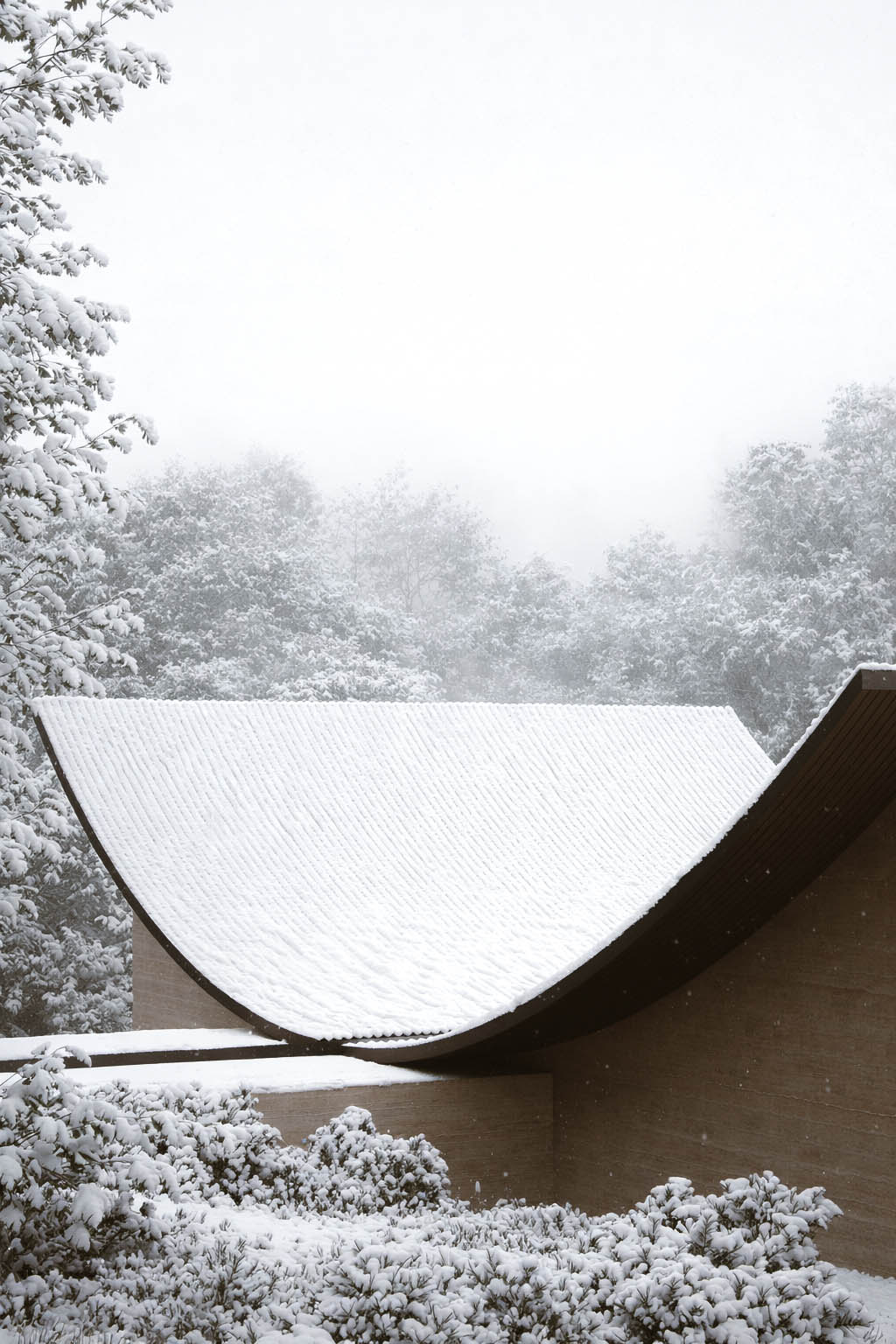 Poesis Studio,别墅设计,别墅设计案例,日本,极简主义别墅,极简主义,森林别墅