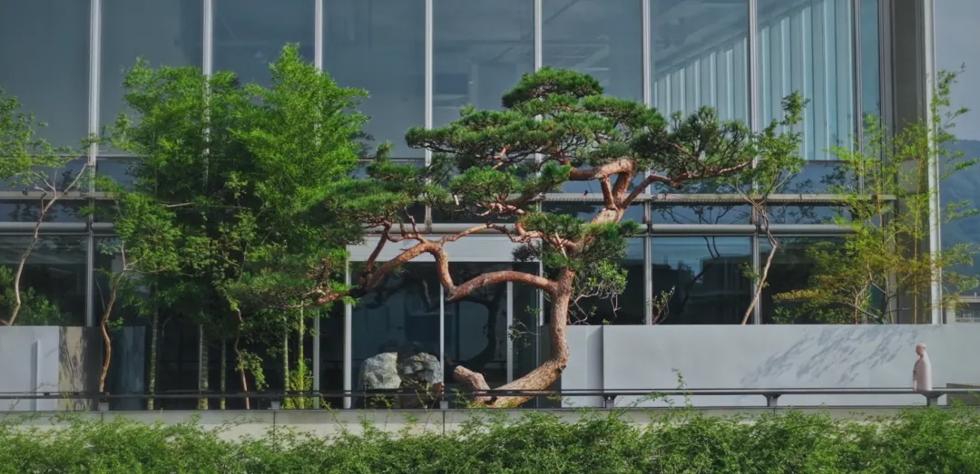 茶饮店设计,茶空间设计,东方美学茶饮店,茶室设计,茶饮店设计案例,茶饮店设计方案,东方美学主题茶饮店,杭州天目里青竺茶局,杭州,山山园林